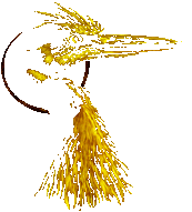 Heron Symbolism